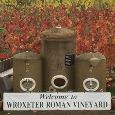 Wroxeter Roman Vineyard was planted in 1991. We are local producers of english wine and cider. Our shop is open 7 days a week. Ring 01743 761888 for more info..