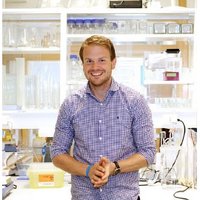 Tormod S. Nilsen (@tsnils) 's Twitter Profile