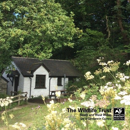 oaktreecwtch's profile picture. Off the beaten track, in the ❤️ of the Teifi Marshes N Reserve & #WelshWildlifeCentre you'll find our quirky #selfcatering Oak Tree Cottage. Managed by @WTSWW