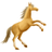 なかむ🐴のアイコン