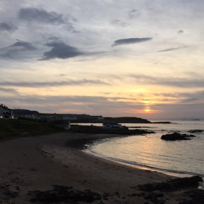 mpo540's profile picture. 