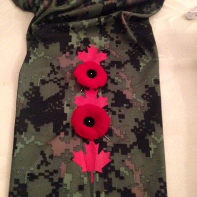 Runner and triathlete and military history buff. Proud Canadian