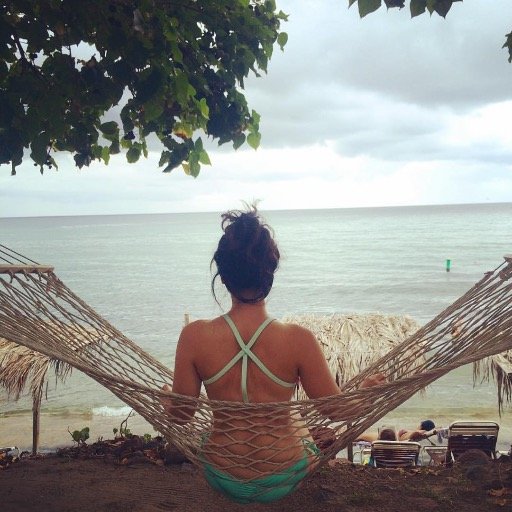 m1chellebro's profile picture. 🐾