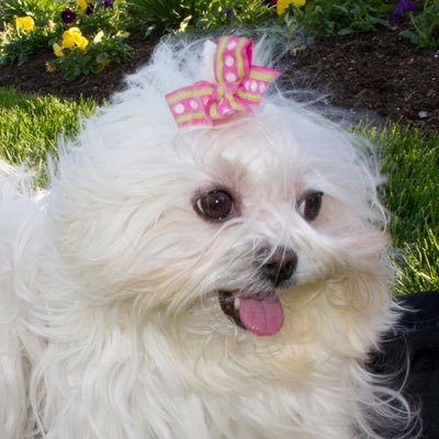 RF_Two's profile picture. Photographer | Videographer Capturing memorable moments one frame at a time.