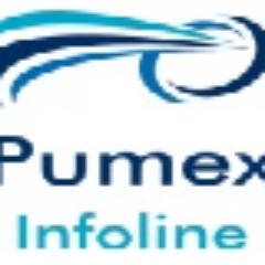 pumexinfoline's profile picture. 