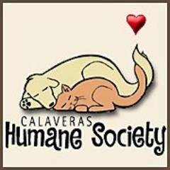 We are a local organization working to promote an excellent quality of life for the animals of our county and to find forever homes for every adoptable pet.