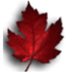 Cad Grants Biz Ctr (@canadiangrantsc) Twitter profile photo Cad Grants Biz Ctr (@canadiangrantsc) Twitter profile photo