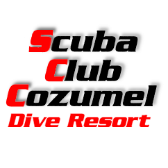 Built in 1976 as Cozumel's first dedicated diver's resort. Room, Meal & Diving included in your package. From Divers To Divers. 🌊April & May special 2020