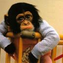 ruth marroquin - @monkeys_love - Twitter