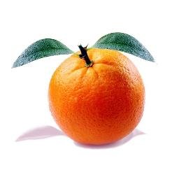 Orange Vitaminée