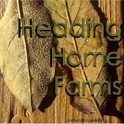 Living country, going organic, doing the best we can each day and loving every minute of it~