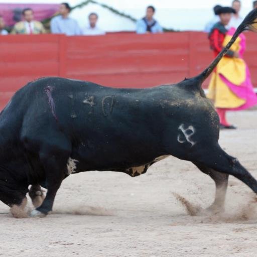 JulioUribeBarro's profile picture. 