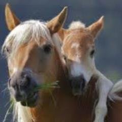 rach26clark's profile picture. 