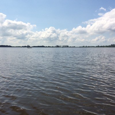 crd1268's profile picture. Pluk je dag vandaag, morgen is hij voorbij