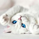 ⓖجٌـوُريّ دوٌلاويةّⓖ (@102_stay) Twitter