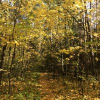 Банкирова Люда (@ludabankiroa) 's Twitter Profile