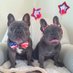 Henry and Penny (@henryandpenny) Twitter profile photo Henry and Penny (@henryandpenny) Twitter profile photo