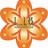 LIBinternationa's profile image