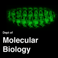 Mol Biology Dept UTSW (@utswmolbiol) 's Twitter Profile