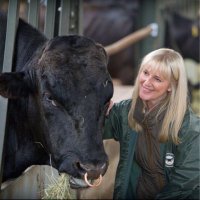 Highland Wagyu(@ChapmanMartine) 's Twitter Profile Photo