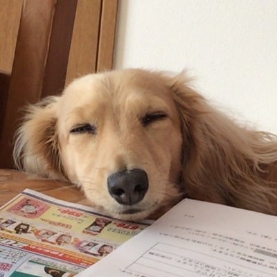 yasuhiro_mitani's profile picture. 