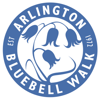 bluebellwalk Profile Picture