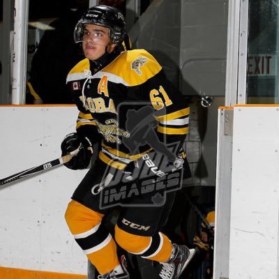 liamneuman's profile picture. St. Andrews College Old Boy, Aurora Tigers #61
