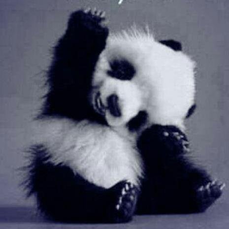 toniclaire15's profile picture. I'm active at night and I am a bibliophile.