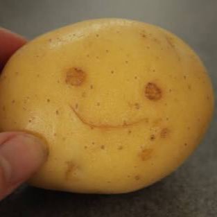 I'm just a mere potato