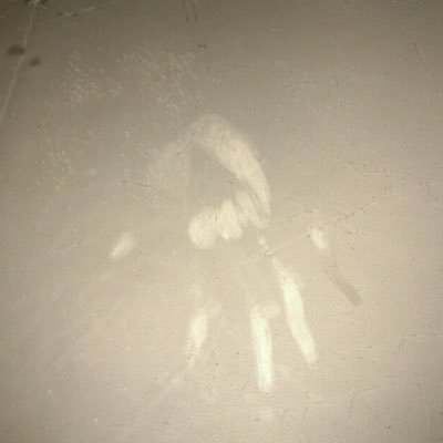 Paulding Paranormal Profile