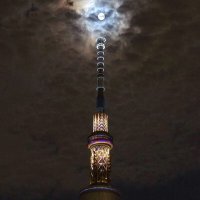 おれんじ (@_orange919) 's Twitter Profile