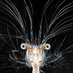 mel_inc (@mel_inc) Twitter profile photo mel_inc (@mel_inc) Twitter profile photo