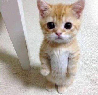 newjs0211's profile picture. 