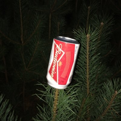 futuretrees15's profile picture. 