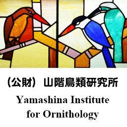 （公財）山階鳥類研究所は日本で最大の鳥類に関する専門研究機関です。活動は皆様からの賛助会費や寄附金で支えられています。Yamashina Institute for Ornithology is a non-governmental ornithological institute based in Japan.