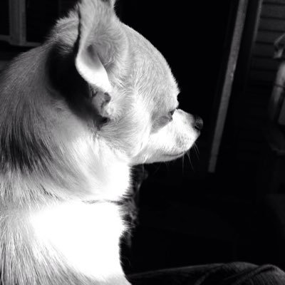 queenie2598's profile picture. A transplant from California to the Midwest. Liberal, music, Real housewives, Women's rights, love being a mom, trying to remain healthy after a 8 year battle!