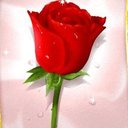 Fleurette (@01Fleurette) Twitter
