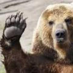 ZudBear's profile picture. 