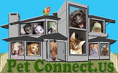 PetConnect.Us is a 501(c)(3) dedicated to finding homes for URGENT SHELTER ANIMALS, connecting pets and people, and providing information and resources.