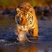 Ravi Thakar (@ravigujrat) Twitter profile photo Ravi Thakar (@ravigujrat) Twitter profile photo