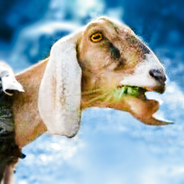 cine_mad's profile picture. Dietro questa maschera non c'è solo carne, mr. Creedy. C'è un' idea, e le idee sono a prova di proiettile.