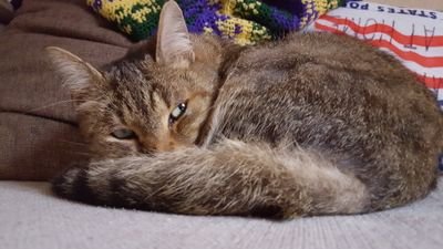 MatecNurso's profile picture. 