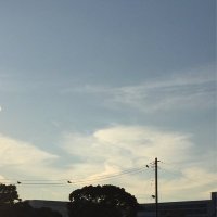 レモネヰド (@lemo_n_ade) 's Twitter Profile