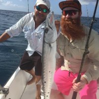 Matthew J M Allen (@matthewjmallen2) 's Twitter Profile