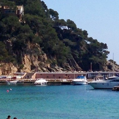 2406Felip's profile picture. 