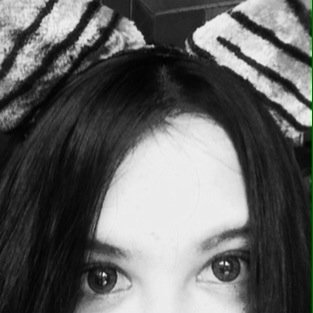 FannniSF's profile picture. لاَ اِلَهَ اِلاَّ اللّهُ