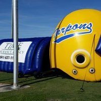 Sandy Cuddy (@tarponathletics) 's Twitter Profile