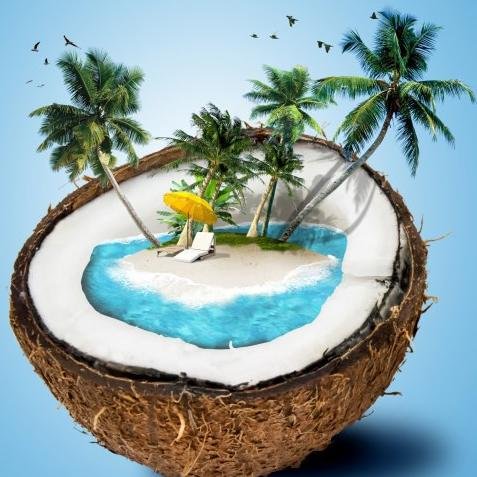 LateenTravels's profile picture. 