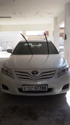 Ali48491552's profile picture. 