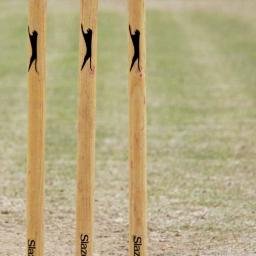 Daily_Wicket's profile picture. 